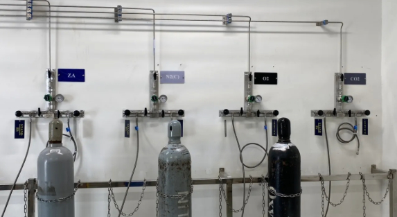 Laboratory Gas Distribution System